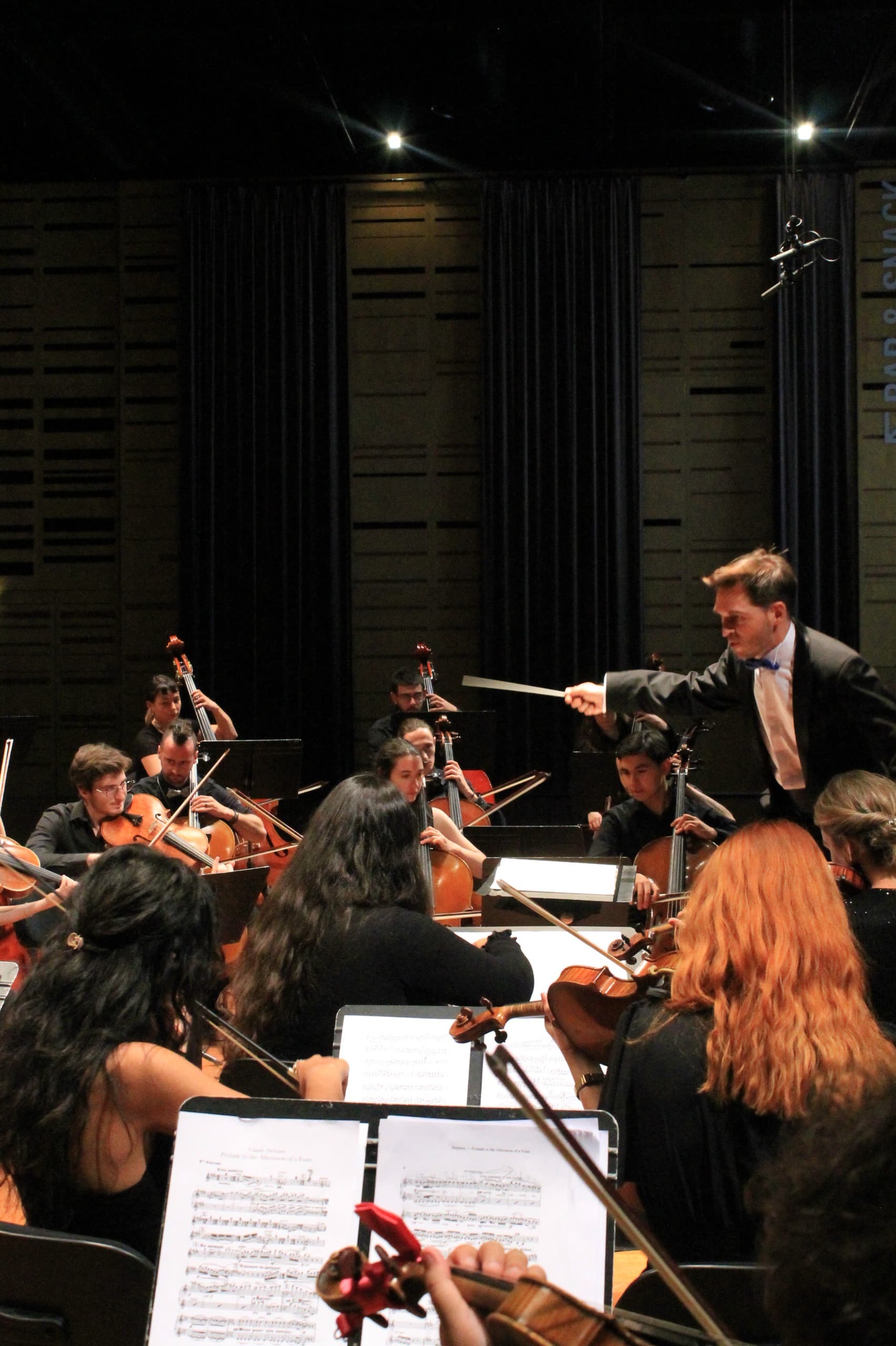 orchestre de la chambre symphonique en train de jouer